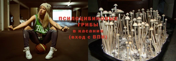 первитин Вяземский