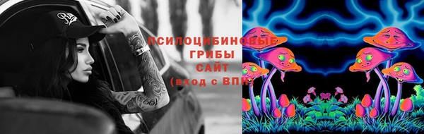 первитин Вяземский