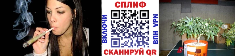 Марихуана семена Елабуга